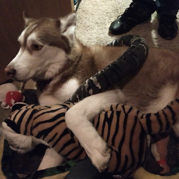 Meet your Posher, Dallas - Picture 2 of 4